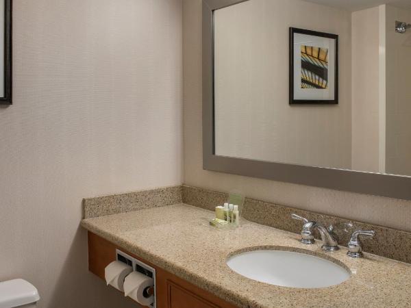 Holiday Inn Winnipeg-South, an IHG Hotel : photo 4 de la chambre chambre standard avec 2 lits queen-size
