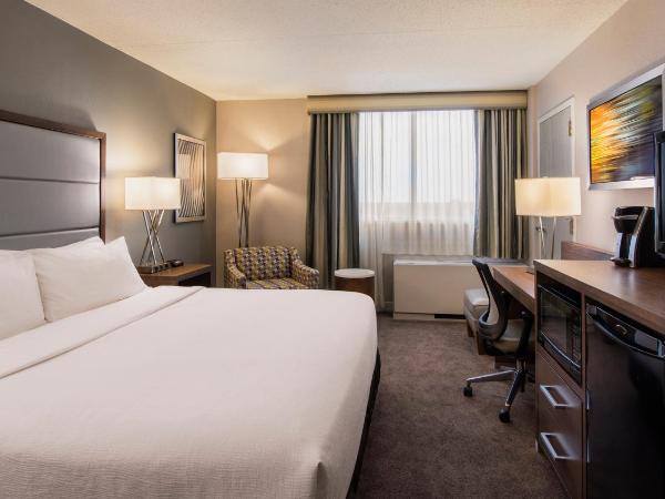 Holiday Inn Winnipeg-South, an IHG Hotel : photo 3 de la chambre chambre standard