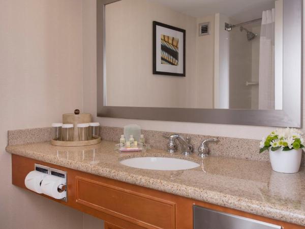 Holiday Inn Winnipeg-South, an IHG Hotel : photo 4 de la chambre chambre lit king-size avec canapé-lit - vue sur ville