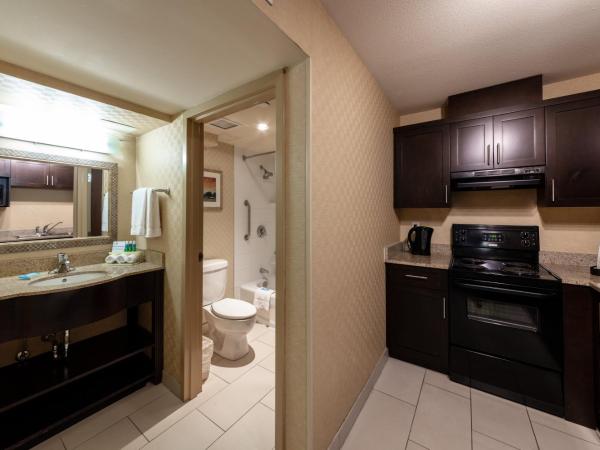Holiday Inn Express & Suites Riverport Richmond, an IHG Hotel : photo 5 de la chambre one-bedroom suite with dining area