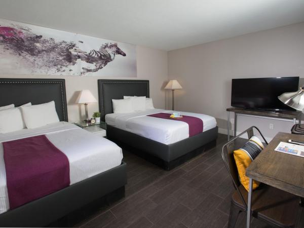 Hotel Iris - Mission Valley-San Diego Zoo-SeaWorld : photo 2 de la chambre chambre 2 lits queen-size - non-fumeurs