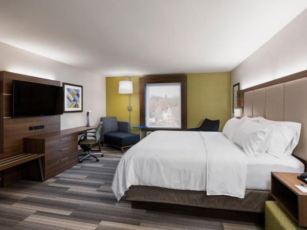Holiday Inn Express Hotel & Suites Saskatoon, an IHG Hotel : photo 3 de la chambre standard king room with extra floor space