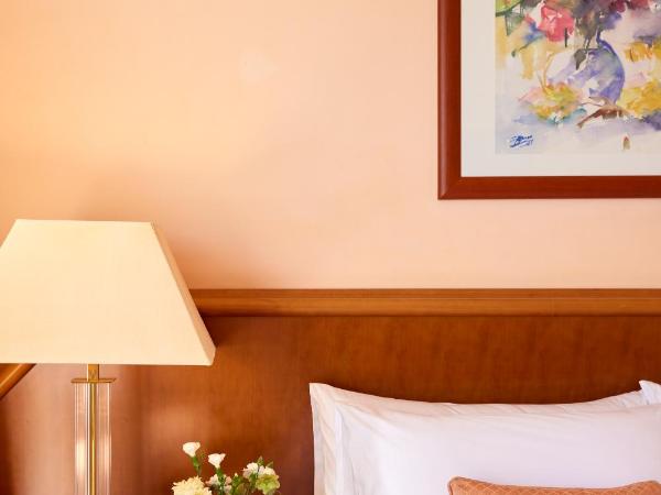 Hotel Panorama : photo 10 de la chambre chambre simple Économique - vue sur montagne