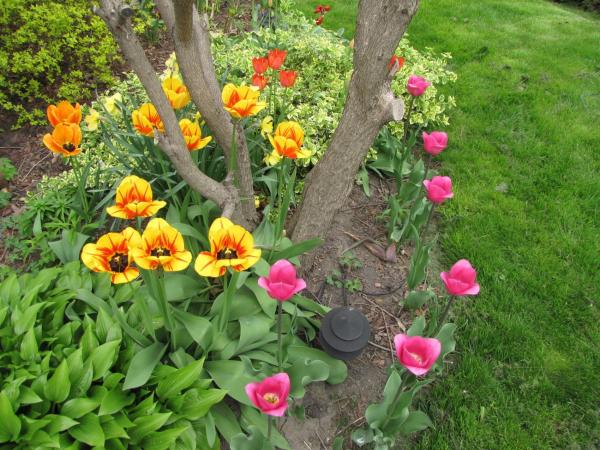 Strathaird Bed and Breakfast : photo 4 de la chambre chambre double deluxe avec douche