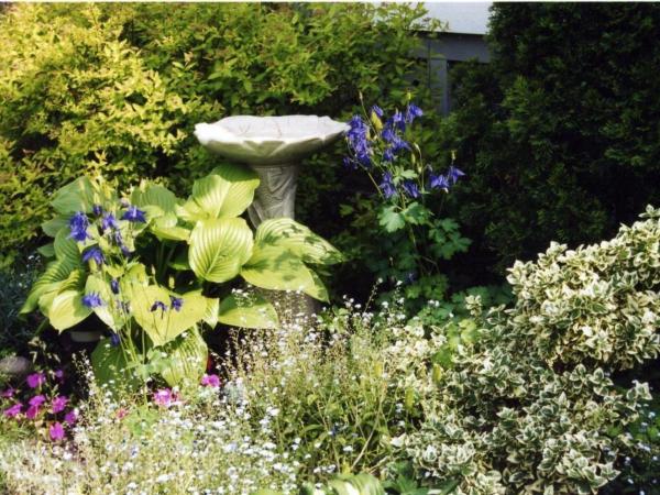 Strathaird Bed and Breakfast : photo 7 de la chambre chambre double deluxe avec douche