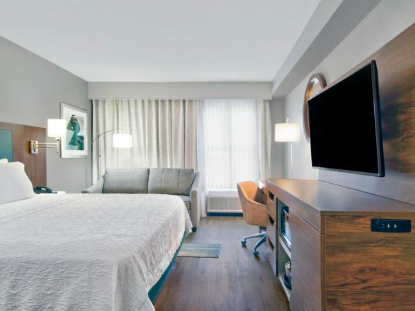 Hampton Inn Ft Lauderdale Airport North Cruise Port : photo 6 de la chambre chambre lit king-size - adaptée aux personnes malentendantes - non-fumeurs