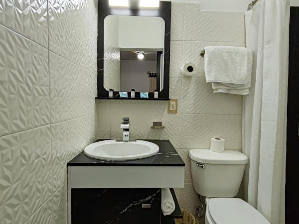 CASA COCO OAXACA INN : photo 6 de la chambre chambre deluxe avec 2 lits doubles