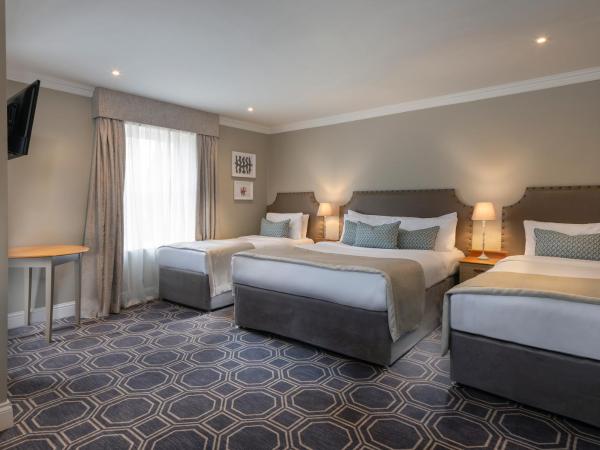 Castle Oaks House Hotel : photo 2 de la chambre chambre familiale