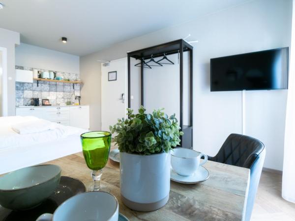 Saga Studios by Heimaleiga : photo 2 de la chambre studio sous-sol