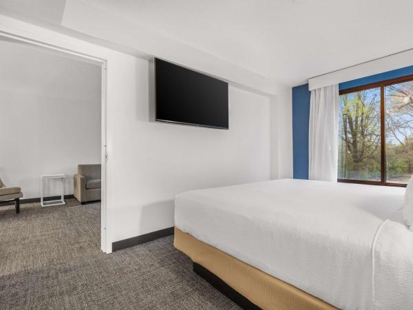 Spark By Hilton Charlotte Tyvola I-77 : photo 1 de la chambre suite 1 chambre lit king-size