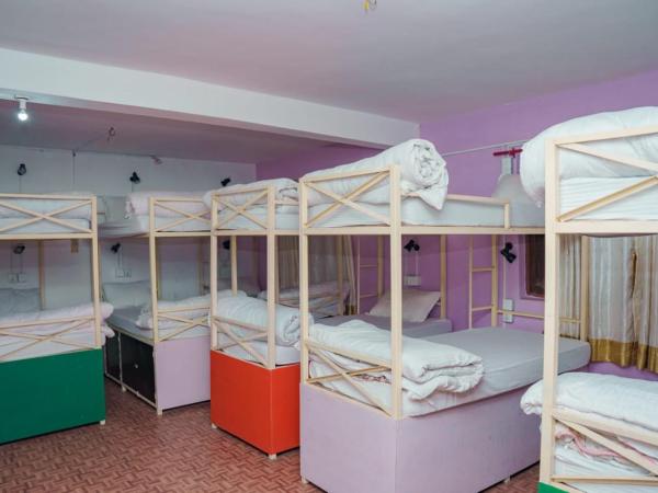 Gypsy Hostel & Backpackers : photo 1 de la chambre lit superposé dans dortoir mixte