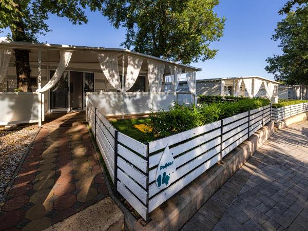 Polidor Camping Resort : photo 5 de la chambre mobile home premium 2 chambres - animaux domestiques admis