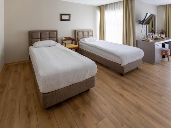 Mene City Hotel : photo 7 de la chambre chambre quadruple confort