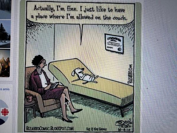 EKONO HOSTEL LA BELLE PLANETE BACKPACKERS Downtown Quebec City : photo 2 de la chambre petite chambre simple