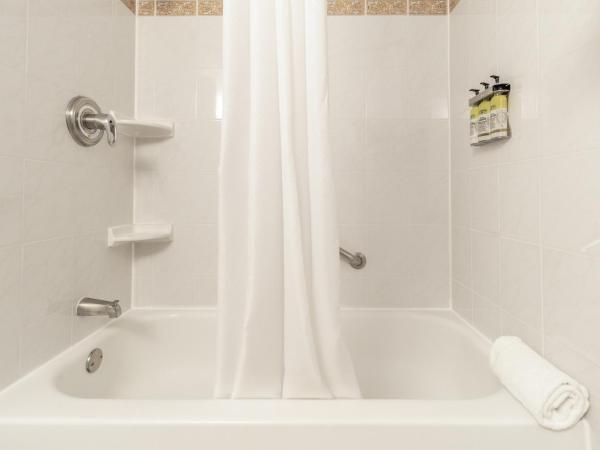 Hôtel Saint-Laurent Montréal : photo 10 de la chambre studio lit king-size