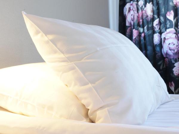 Le Mat B&B Göteborg City : photo 3 de la chambre chambre simple avec salle de bains commune