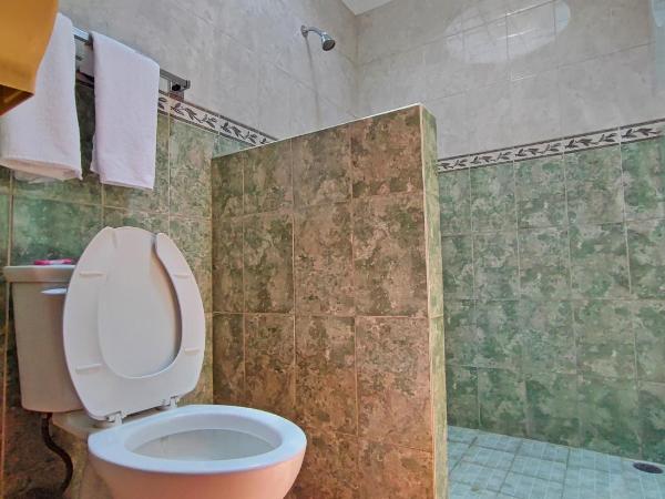 Auto Hotel Estrella del Sur : photo 6 de la chambre chambre lit king-size deluxe