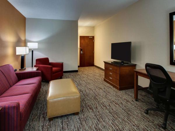 Drury Inn & Suites Charlotte Northlake : photo 2 de la chambre suite lit king-size avec canapé-lit