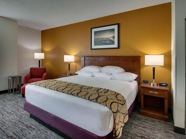 Drury Inn & Suites Charlotte Northlake : photo 6 de la chambre chambre lit king-size deluxe avec baignoire spa