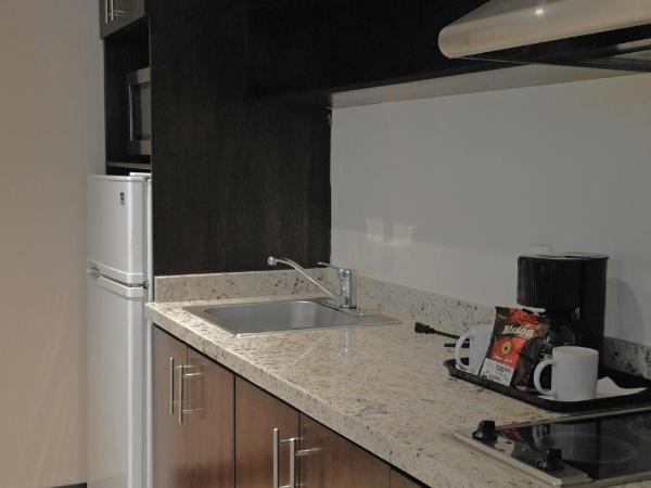 Áurea Hotel and Suites : photo 9 de la chambre suite double standard