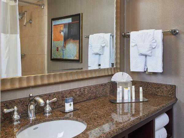 DoubleTree by Hilton Dallas Market Center : photo 4 de la chambre chambre lit king-size - non-fumeurs