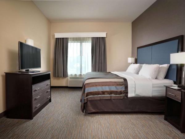 Wingate by Wyndham Savannah Pooler : photo 1 de la chambre chambre lit king-size - non-fumeurs