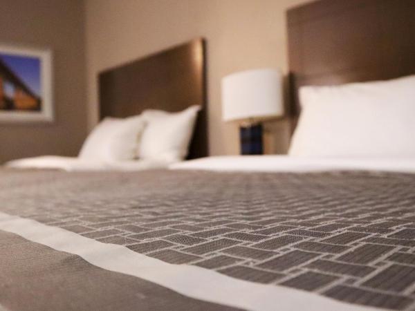 Travelodge Hotel by Wyndham Saskatoon : photo 2 de la chambre suite studio avec 2 lits queen-size - côté piscine - non-fumeurs