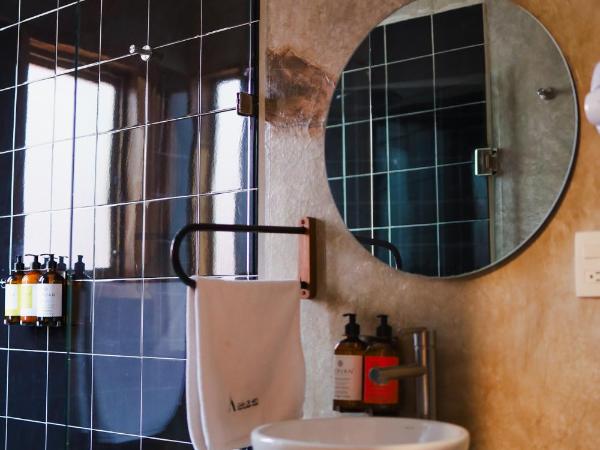 Hotel Boutique Casa de Arte Oaxaca, Art Gallery & Pool : photo 1 de la chambre chambre lits jumeaux supérieure