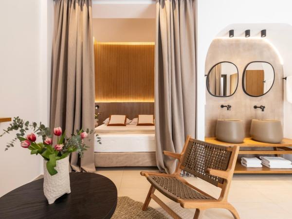 Albatros Spa & Resort Hotel : photo 2 de la chambre urban junior suite with plunge pool