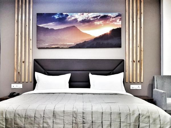 Hotel Delhi Aerocity, NH 8 : photo 3 de la chambre chambre double super deluxe