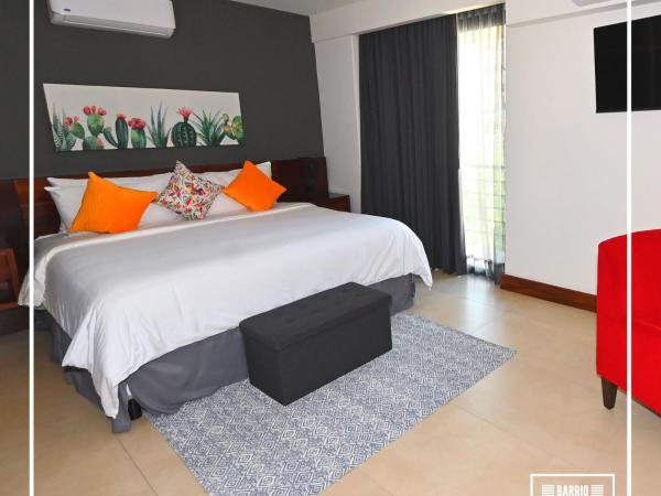 Barrio Vallarta Suites : photo 1 de la chambre suite deluxe avec lit king-size