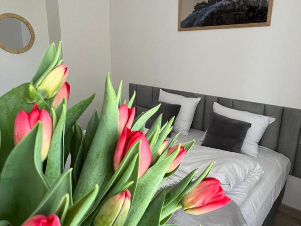 Karkonoskie Widoki Apartamenty : photo 1 de la chambre studio familial