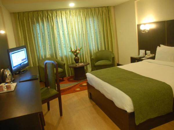 Hotel Vaishali : photo 3 de la chambre chambre double standard