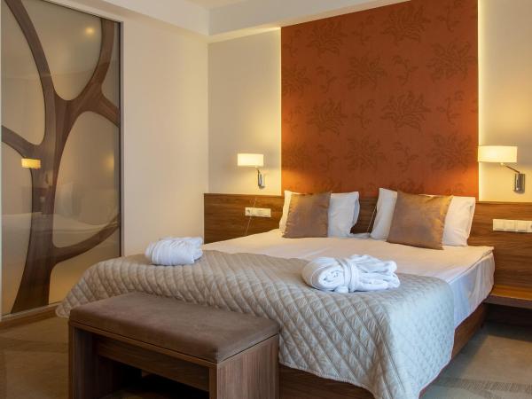 Imola Hotel Platán : photo 2 de la chambre chambre double avec patio