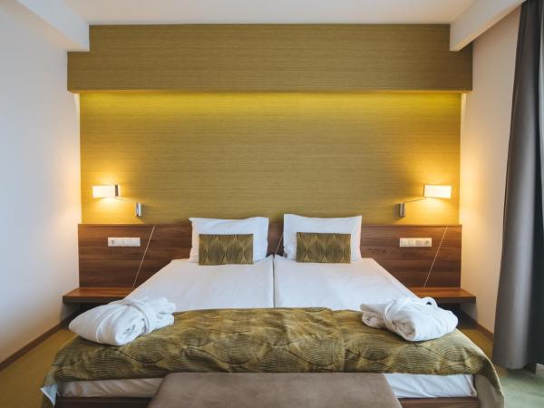 Imola Hotel Platán : photo 4 de la chambre chambre double avec patio