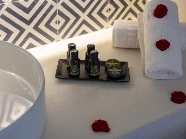 DIAGONAL HOTEL : photo 7 de la chambre chambre double standard