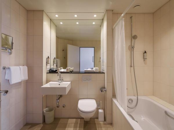 Hotel Schweizerhof Basel : photo 6 de la chambre chambre double ambiente