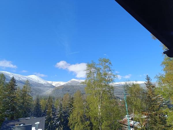 Willa Alaska : photo 4 de la chambre chambre familiale - vue sur montagne