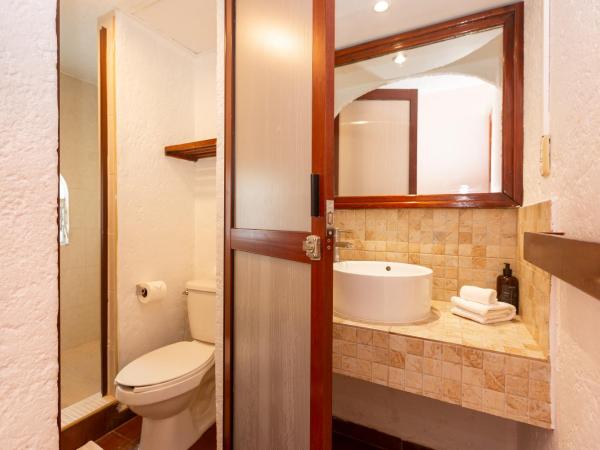 Selina Cancun Downtown : photo 4 de la chambre standard room (queen), private bathroom