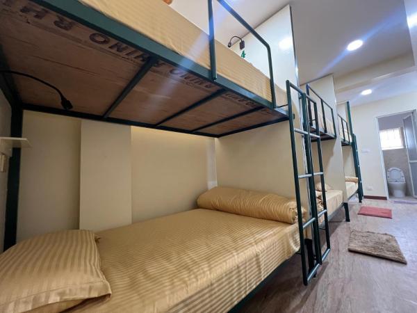 The Sparkling Turtle Backpackers Hostel : photo 7 de la chambre dortoir pour femmes de 6 lits