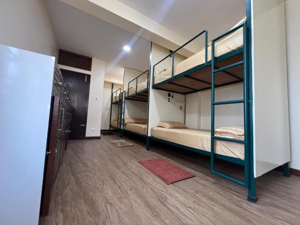 The Sparkling Turtle Backpackers Hostel : photo 8 de la chambre dortoir pour femmes de 6 lits