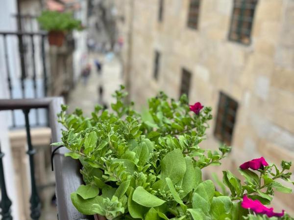 Casa Celsa-Barbantes : photo 1 de la chambre chambre simple