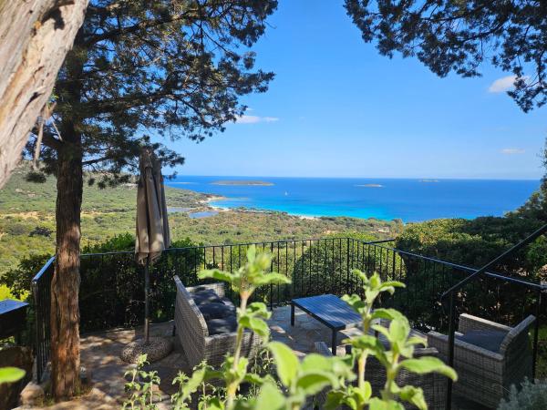 Résidence Belvedere de Palombaggia : photo 2 de la chambre maison 2 chambres avec jacuzzi