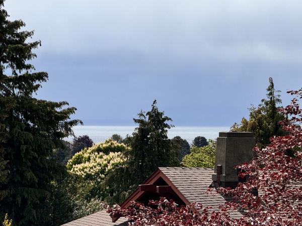 Prior Castle Inn : photo 6 de la chambre chambre nottingham
