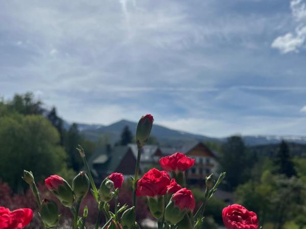 Karkonoskie Widoki Apartamenty : photo 2 de la chambre chambre double ou lits jumeaux - vue sur montagnes