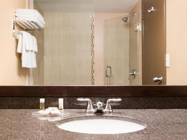Days Inn by Wyndham Calgary Northwest : photo 6 de la chambre chambre lit king-size