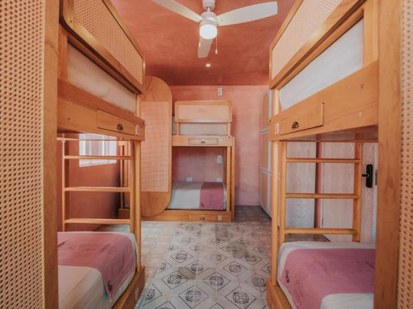 Casa Amate 61 Boutique Hostel : photo 1 de la chambre lit simple dans dortoir pour femmes