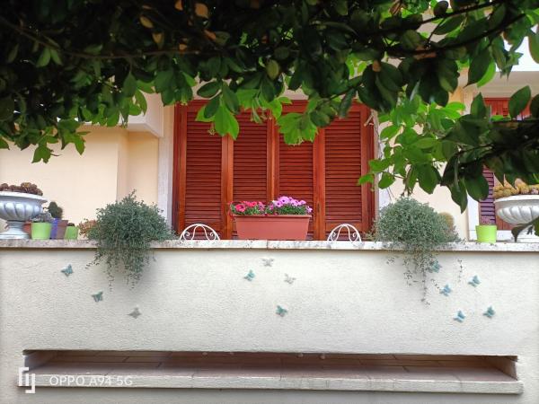 Gemma Di Gallura Charme B&B : photo 8 de la chambre chambre double ou lits jumeaux avec salle de bains privative