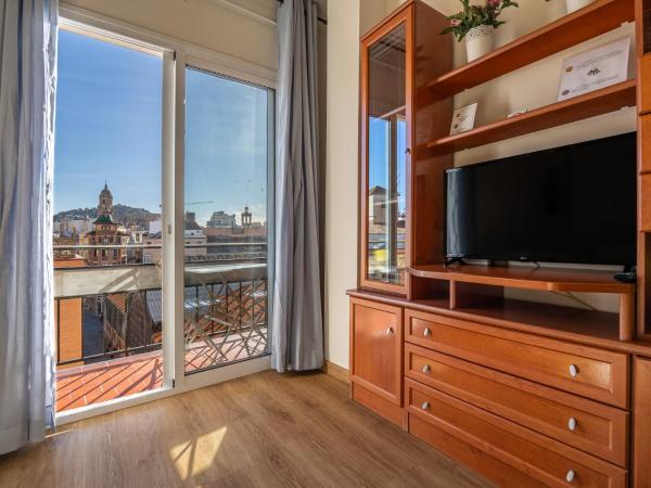 Atarazanas Málaga Boutique Hotel : photo 6 de la chambre appartement 1 chambre