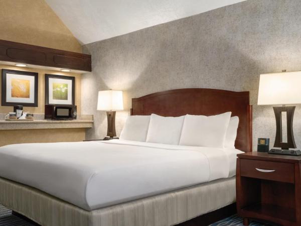 Radisson Hotel Salt Lake City Airport : photo 6 de la chambre chambre exécutive premium lit king-size - non-fumeurs